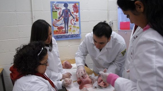 Health Science Degree in Bergen County, NJ
